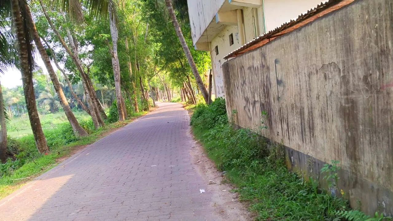 গ্রামীণ জনপদে ব্লক রোড: টেকসই উন্নয়নের নতুন দিগন্ত