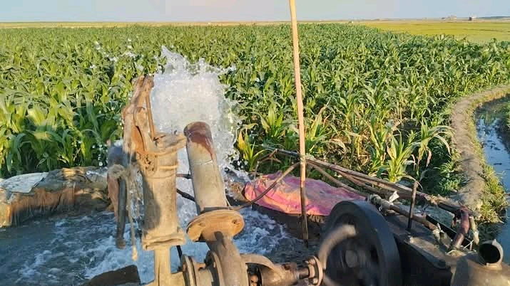 ডিজেল সংকটে সেচ খরচ বাড়ছে কৃষকের