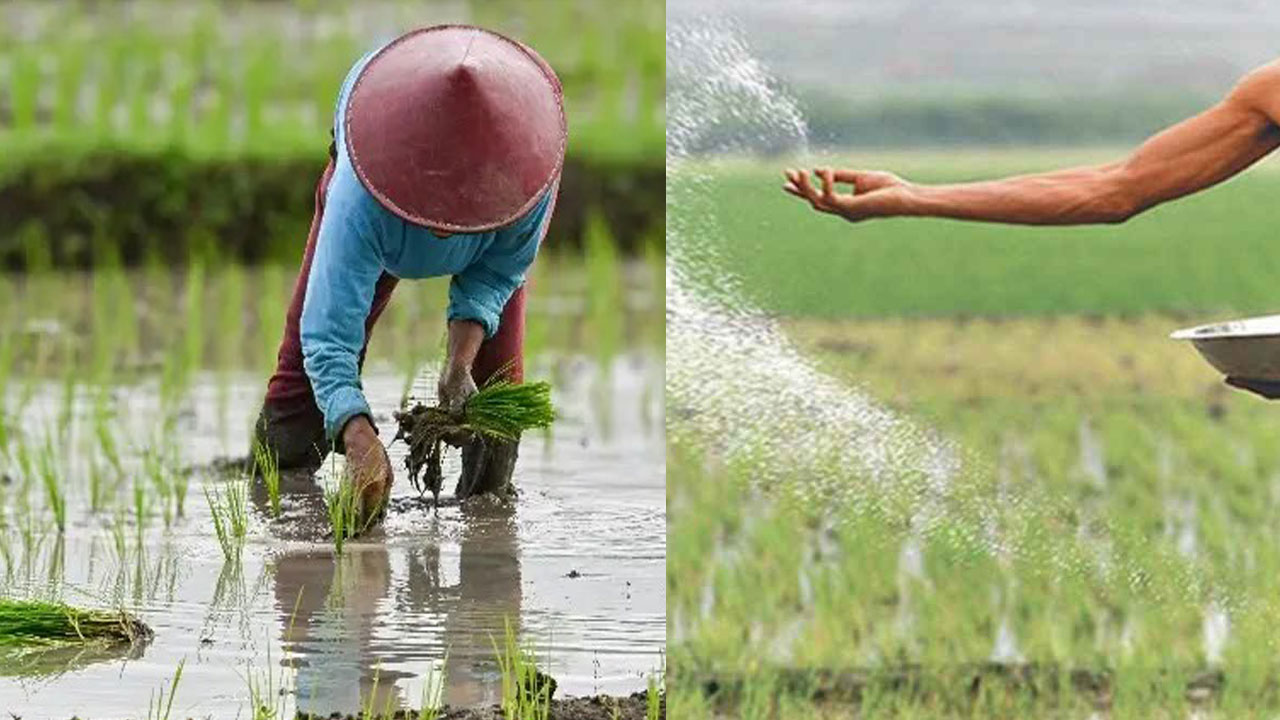 ইরান যুদ্ধের কারণে বাংলাদেশে কৃষি উৎপাদন নিয়ে শঙ্কা
