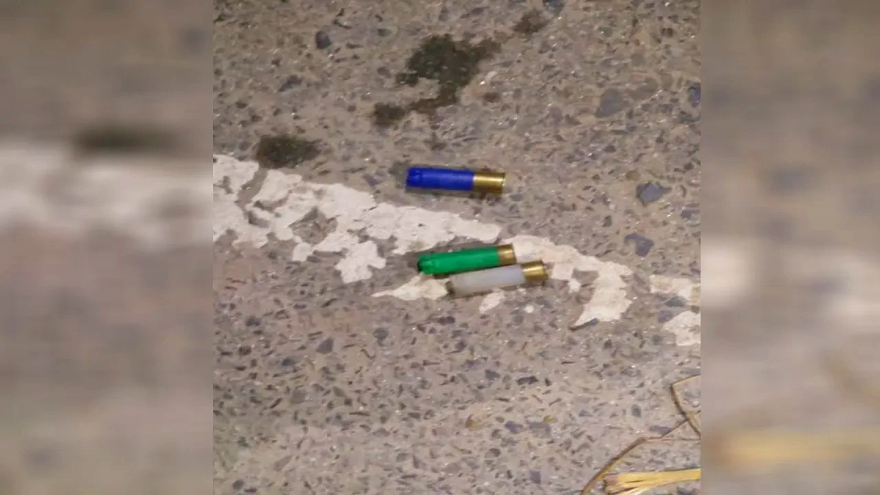 কুষ্টিয়ায় ব্রাশফায়ারে স্বেচ্ছাসেবক দল নেতাসহ গুলিবিদ্ধ ১০